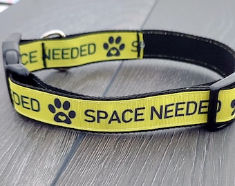 Yellow Space Needed Dog Collar - For Nervous, Anxious, Reactive Dogs - Flat Collar - Martingale