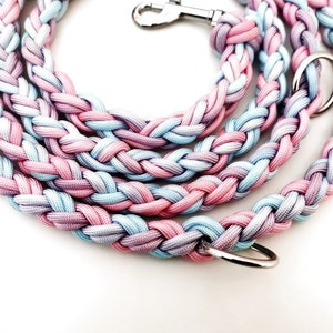 Puede incluir: Una correa para perro trenzada en color rosa y azul claro con cierres de metal plateado.