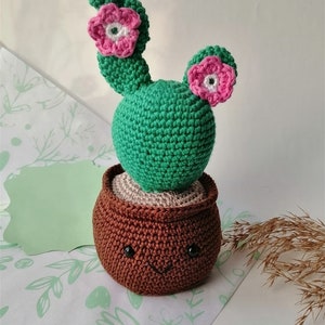 Crochet Plant, Crochet Succulent Plant, Crochet Amigurumi Plant, Crochet Succulent, Christmas gift,Birthday gift, Stuffed Plant, Plants