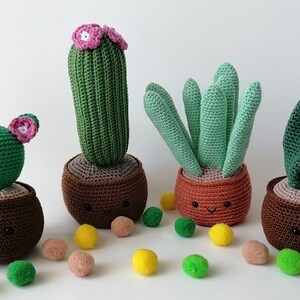 Crochet Plants, Crochet Succulent Plant, Crochet Amigurumi Plant, Crochet Succulent, Christmas gift,Birthday gift, Stuffed Plant, Plants