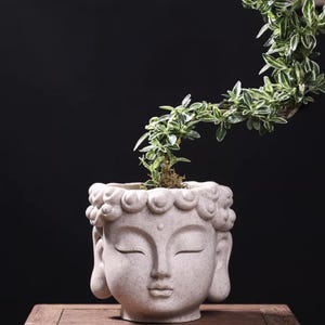 Puede incluir: Una maceta con forma de cabeza de Buda gris claro, con los ojos cerrados, que contiene una pequeña planta verde y blanca. La maceta está sobre una superficie de madera sobre un fondo negro. Las hojas de la planta se arquean.