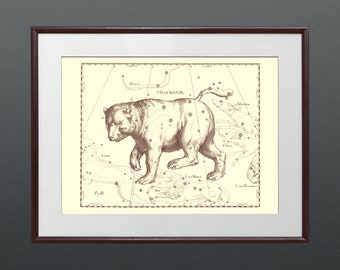 Ursa Major star constellation (Big Dipper), Animal on the sky, Beautiful vintage star map for night sky lovers, 1690