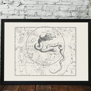 Draco Sternenbild, Drache am Himmel, Schöne Vintage Sternenkarte für Nachthimmelliebhaber, 1690