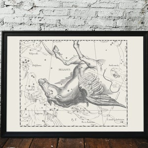 Schöne Vintage Sternbild Pegasus (geflügeltes Pferd) für Nachthimmelliebhaber, 1690