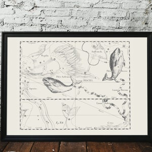 Pisces Sternzeichen Sternbild, Schöne Vintage Sternenkarte für Nachthimmelliebhaber, 1690