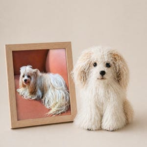 Könnte beinhalten: Eine plüschige, cremefarbene Hundefigur mit hellbraunem Gesicht und Ohren sitzt neben einem gerahmten Foto eines ähnlichen Hundes. Der Holzrahmen umgibt ein Foto eines Hundes, der auf einer rosa Oberfläche liegt.