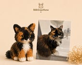 Item from this shop