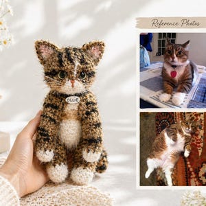 May include: A crocheted brown and black tabby cat figurine with white paws and a white chest. The cat has a small white collar tag with the text OLLIE printed on it. To the right, two reference photos show a real tabby cat in different poses.