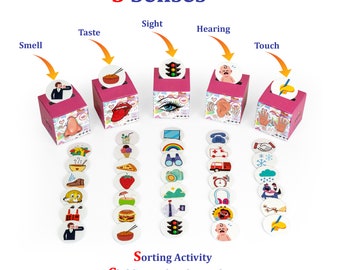 Five Senses Sorting Activity Printable 5 Senses Sorting Five - Etsy