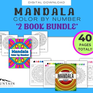 Mandala Color by Number Bundle, adults, teens, kids, printable, instant digital download, summer fun coloring book color by number printable