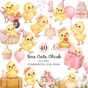 Un lindo pollito en acuarela, pollito bebé, PNG para fiesta de granja rosa, gráficos para el primer cumpleaños de niña, paquete para baby shower o guardería.