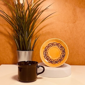 Retro Vintage Tea Cup and Saucer Set