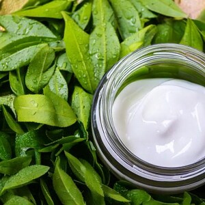 May include: A glass jar containing white cream, set amongst fresh green leaves. The cream has a smooth texture. The leaves are a bright green, with visible water droplets. The image suggests a natural skincare product.