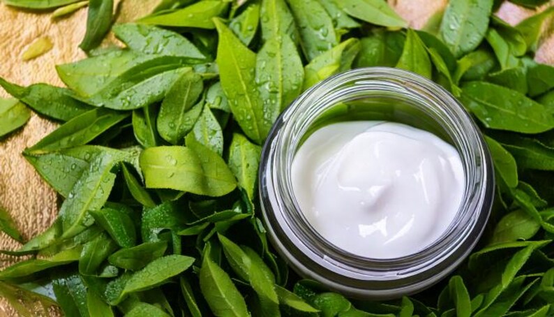 May include: A glass jar containing white cream, set amongst fresh green leaves. The cream has a smooth texture. The leaves are a bright green, with visible water droplets. The image suggests a natural skincare product.