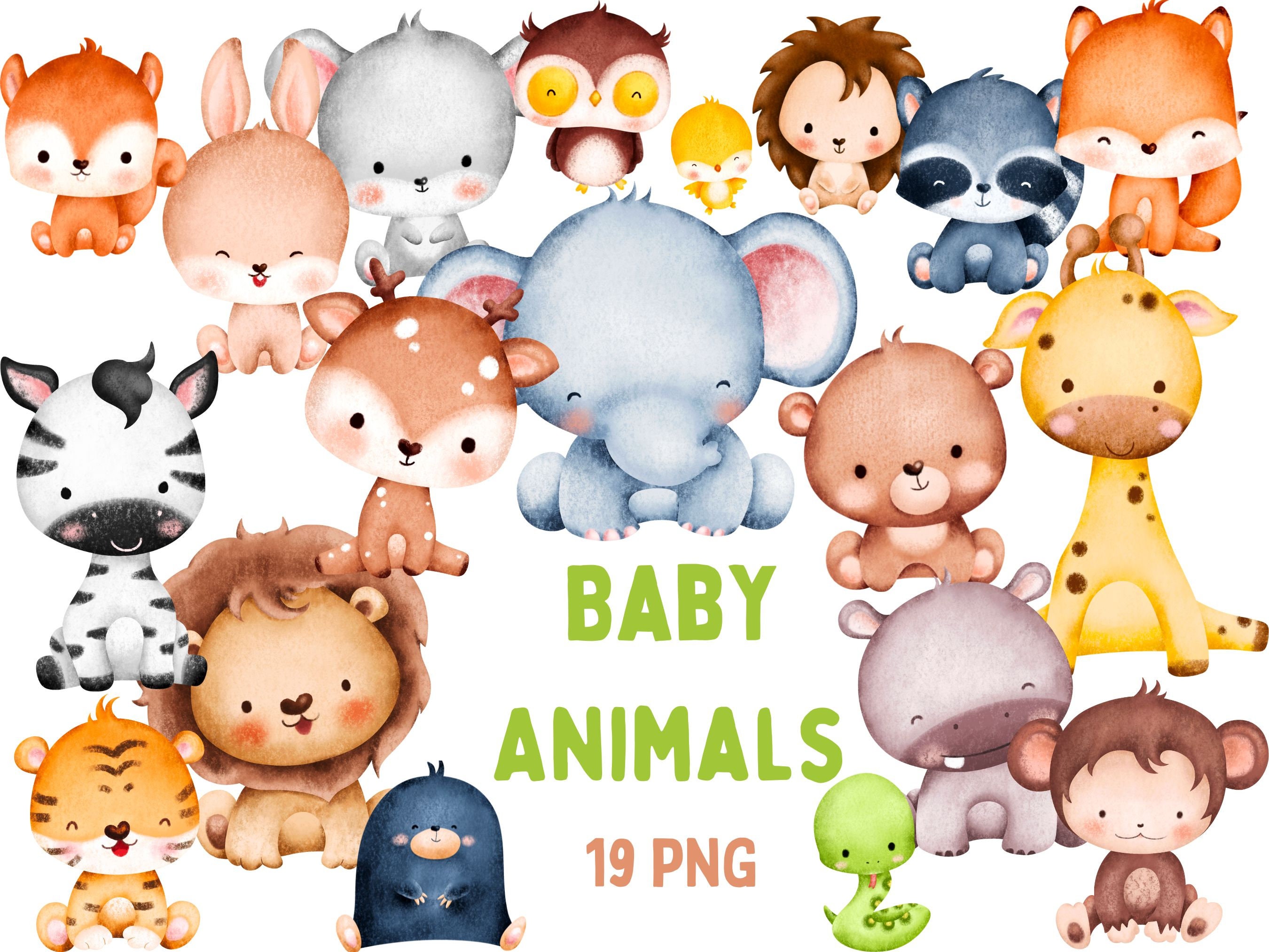 Cute Animal Clipart - Etsy Cute Animal Clipart - Etsy