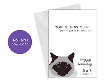 May include: A white card with a black and white illustration of a cat with blue eyes. The text on the card reads "YOU'RE HOW OLD? You've got to be kitten me happy birthday 5 x 7 CARD".