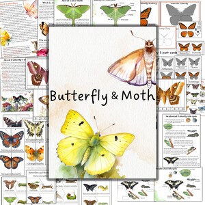 Butterfly unit study, Moth unit, Mini beast unit, Butterfly montessori puzzle, Luna moth, butterfly activities ,summer activities,