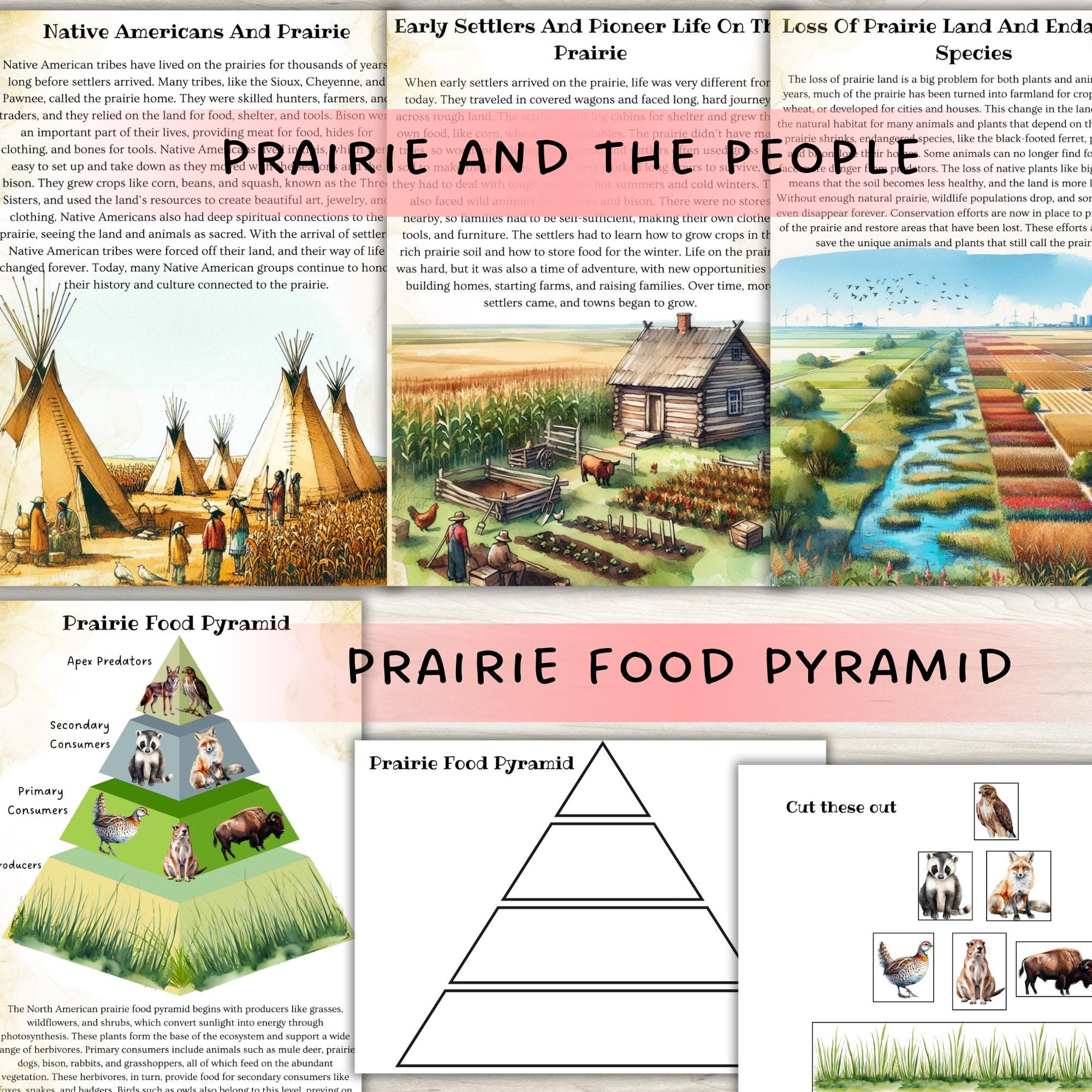 Prairie Unit Study, Biome Unit Study, Prairie Food Pyramid, Prairie ...