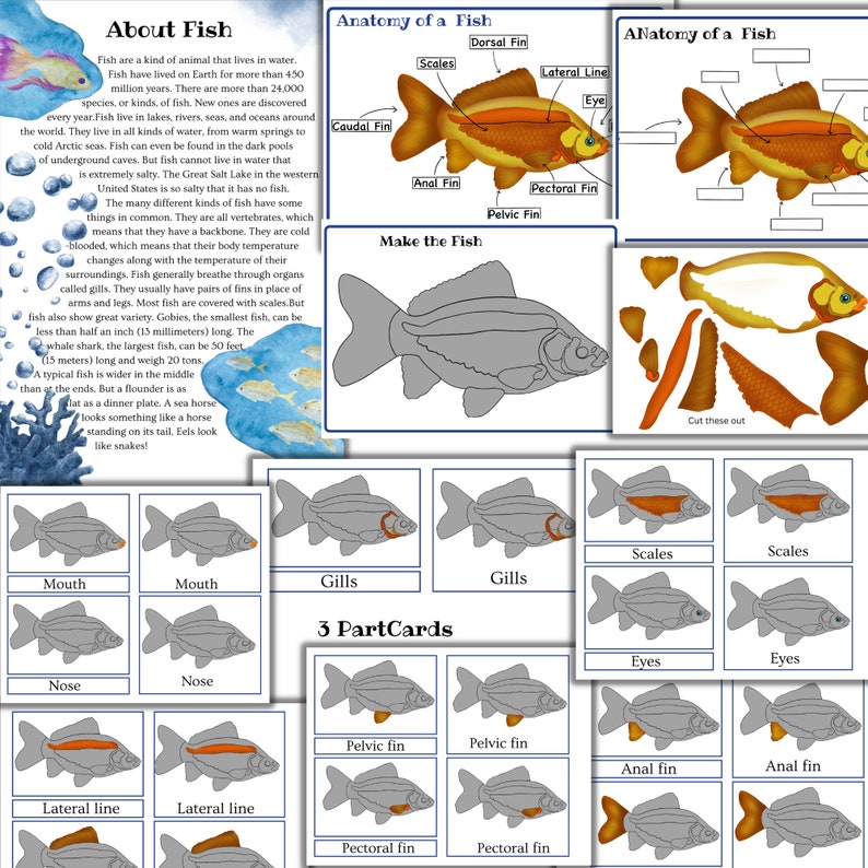 Fish Unit Study Fish Printable Puzzle Fish Activities Shark Etsy