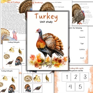 Turkey unit study, Thanksgiving activity, Turkey anatomy, Turkey life cycle, Turkey activities, Nature study homeschool
