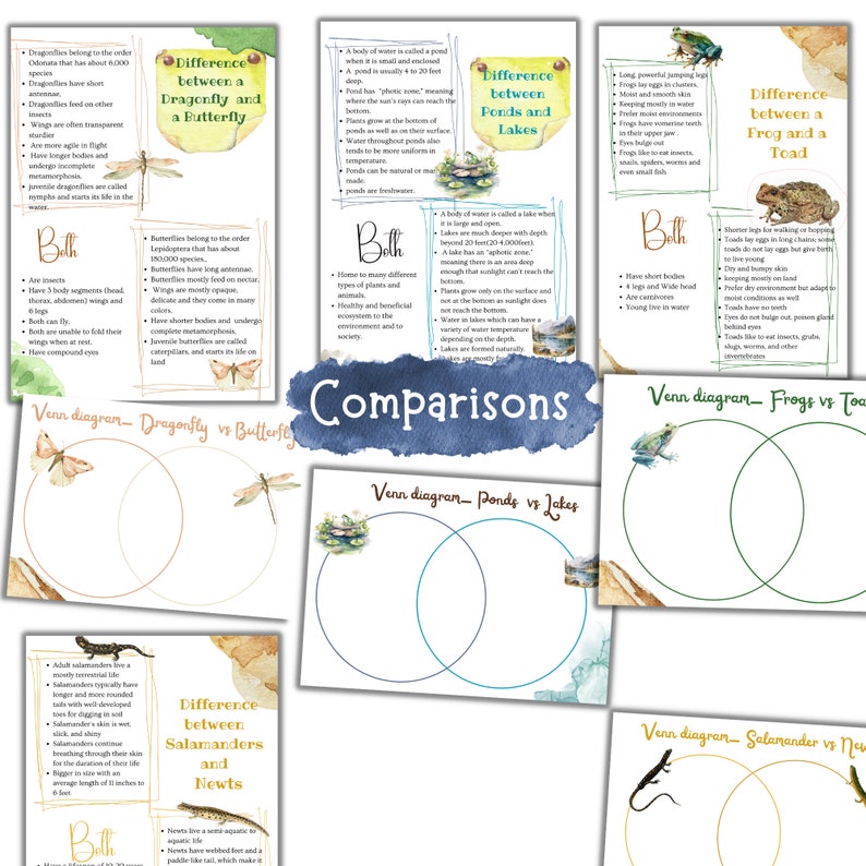 May include: Educational comparison charts on white paper. The charts compare dragonflies and butterflies, ponds and lakes, frogs and toads, and salamanders and newts. Each chart includes a Venn diagram and descriptive text.