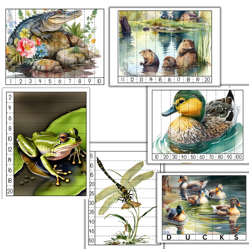 May include: Watercolor illustrations of wildlife puzzles. Images include an alligator on rocks, beavers in a pond, a green frog on a lily pad, a dragonfly, and ducks in water. Each image is divided into numbered sections.