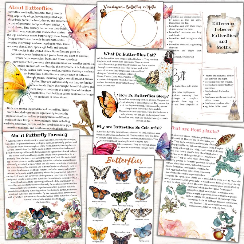 K&ouml;nnte beinhalten: Farbige Illustrationen von Schmetterlingen mit ihren gebr&auml;uchlichen Namen, darunter Monarch, K&ouml;nigin und Schwalbenschwanz. Der Text "Schmetterlinge" befindet sich oben im Bild.