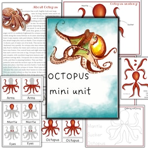 Octopus mini unit study, octopus printable puzzle, octopus activities, Mollusks study, sea creature printable,
