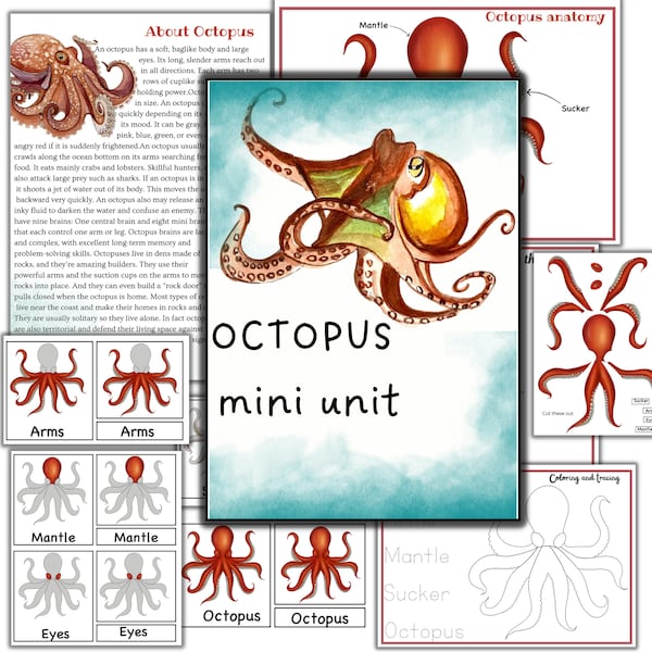 Octopus mini unit study, octopus printable puzzle, octopus activities, Mollusks study, sea creature printable,