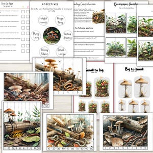 May include: Educational worksheets featuring illustrations of decomposers, including mushrooms, worms, and insects. The worksheets cover topics like true or false questions, adjectives, reading comprehension, and puzzles. The pages are designed for educational purposes.