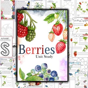 May include: A colorful illustration of various berries, including strawberries, blueberries, and blackberries. The image includes the text "Berries Unit Study" and features a watercolor style.