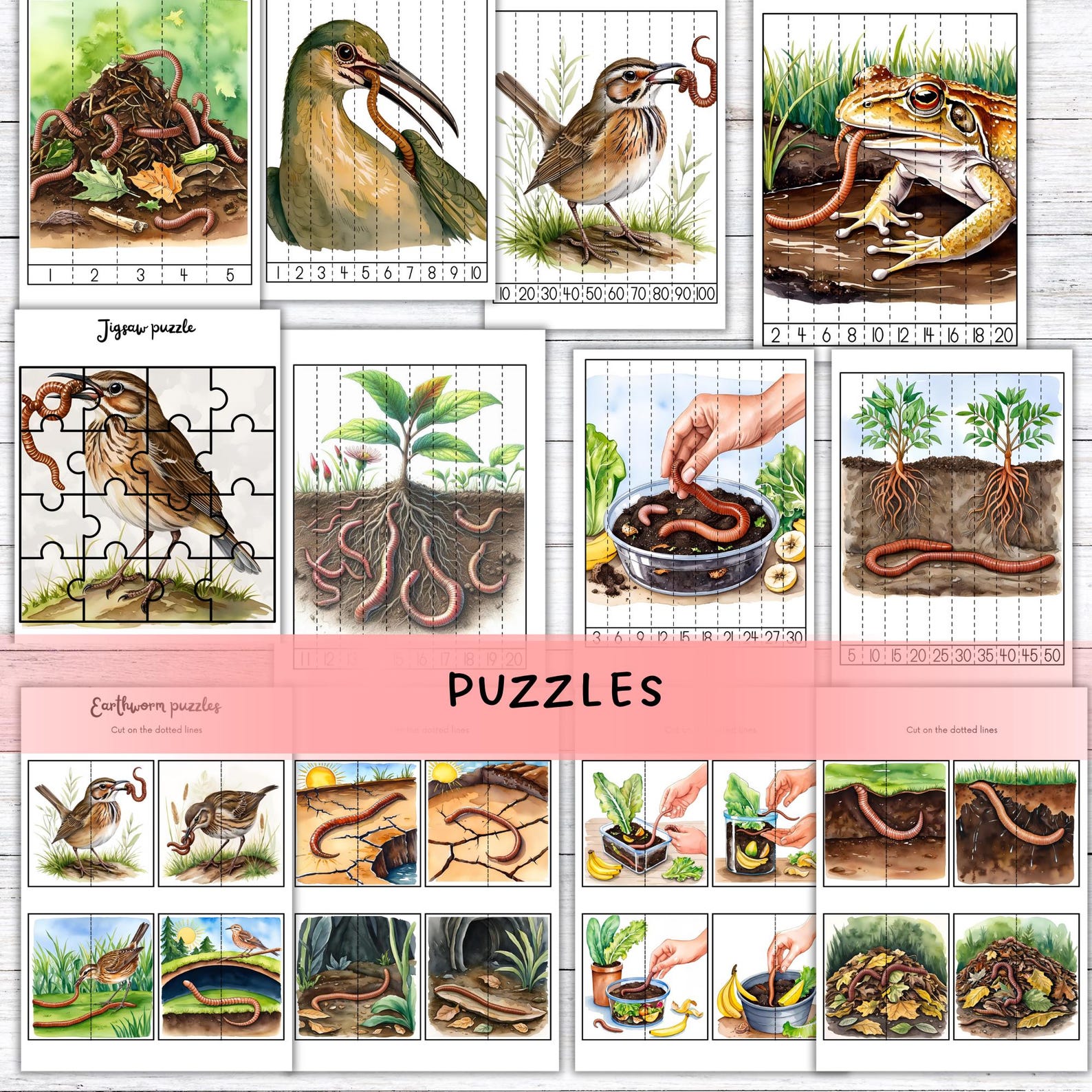Earthworm Unit Study, Decomposer Unit Study, Nature Study, Homeschool ...