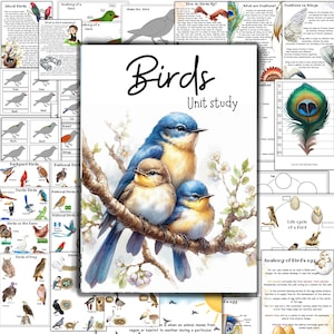 Unidade de estudo sobre aves, Anatomia de aves, Cartões Montessori de 3 partes sobre aves, Unidade de estudo sobre corujas, Atividades de primavera, Aves de quintal, Aves de rapina, Aves exóticas