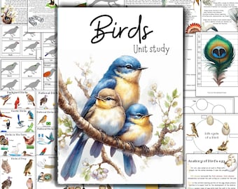 Birds unit study, Bird anatomy, Bird montessori 3 part cards, Owl unit study, Spring activities, backyard birds, Birds of prey, exotic birds