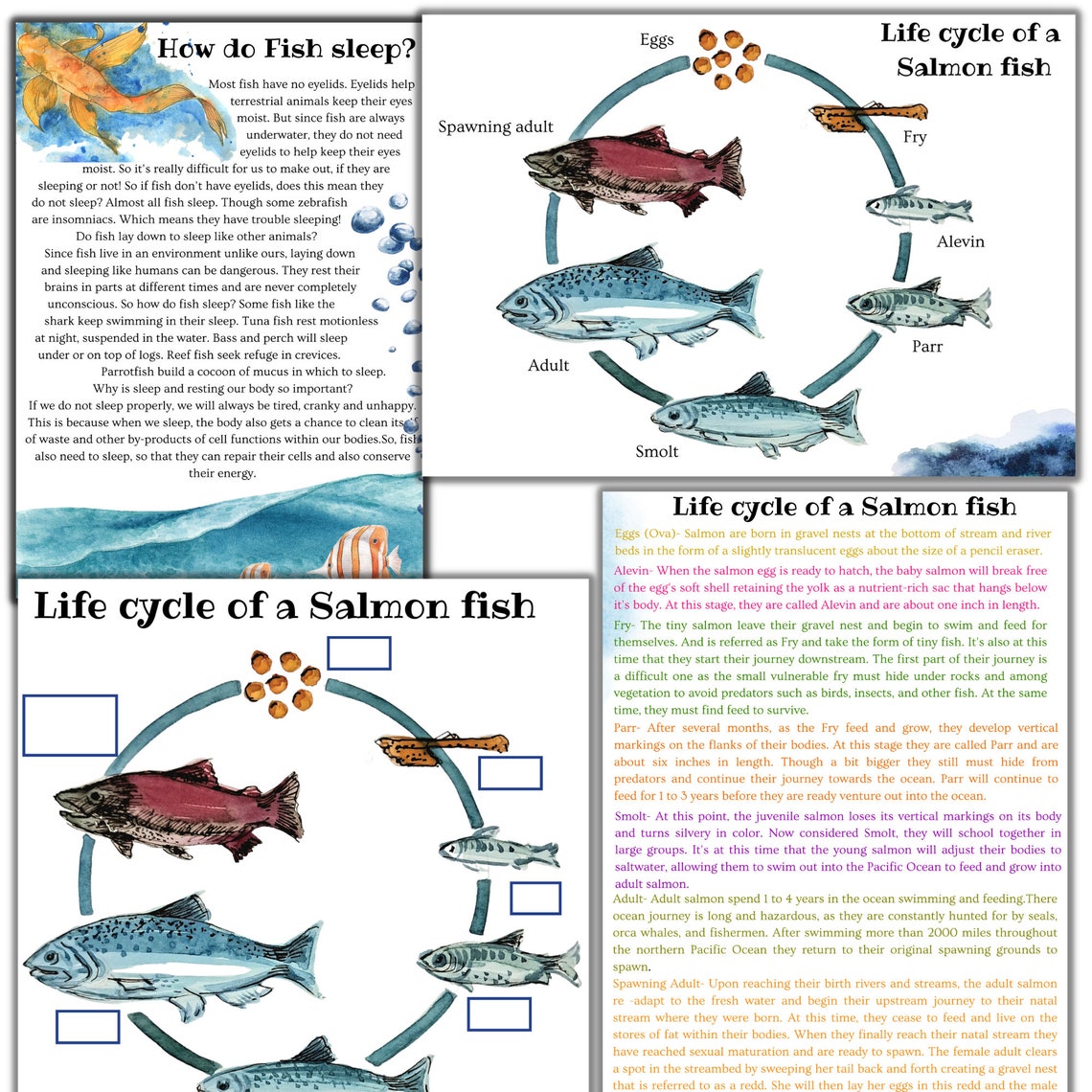 Fish Unit Study, Fish Printable Puzzle, Fish Activities, Shark Unit ...