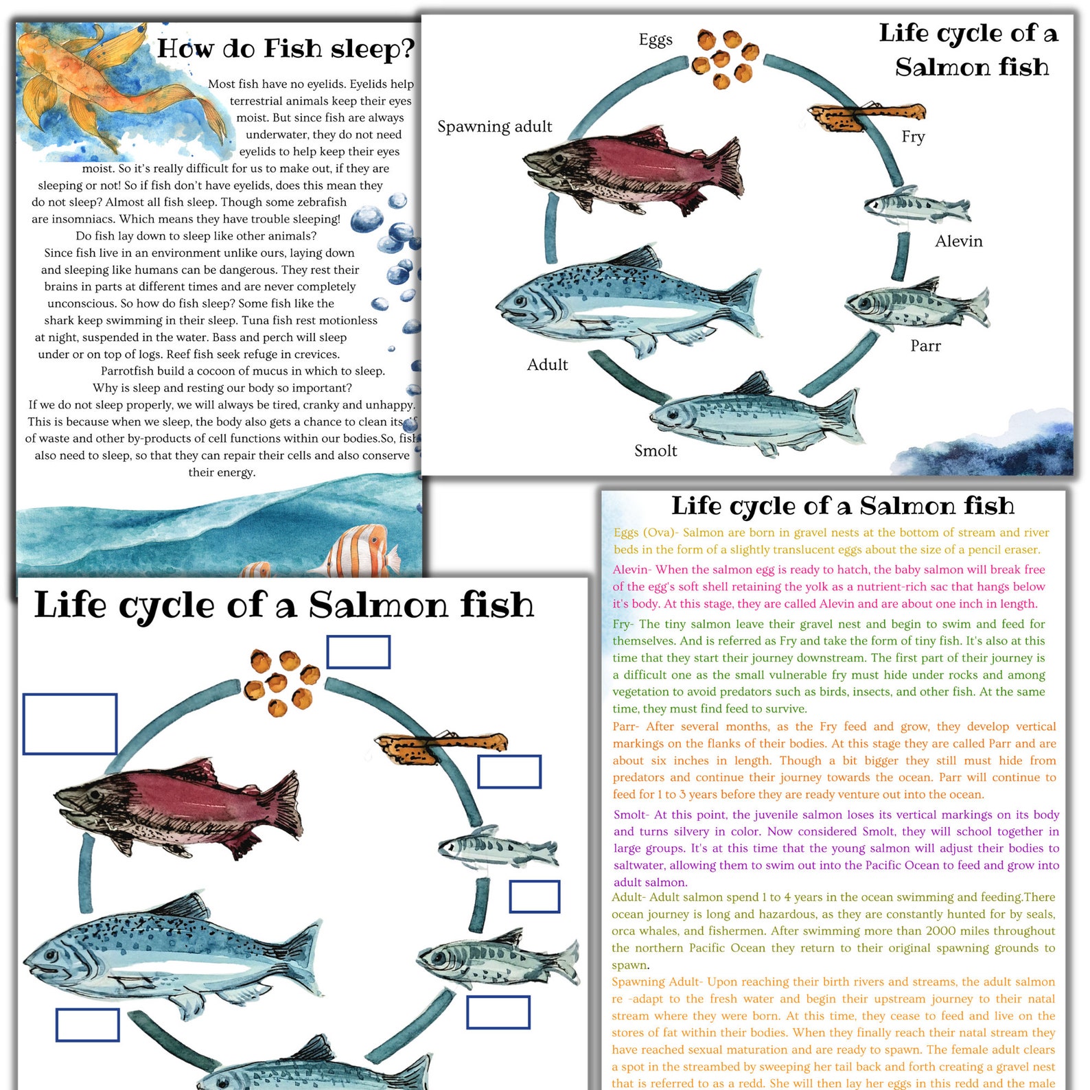 Fish Unit Study, Fish Printable Puzzle, Fish Activities, Shark Unit ...
