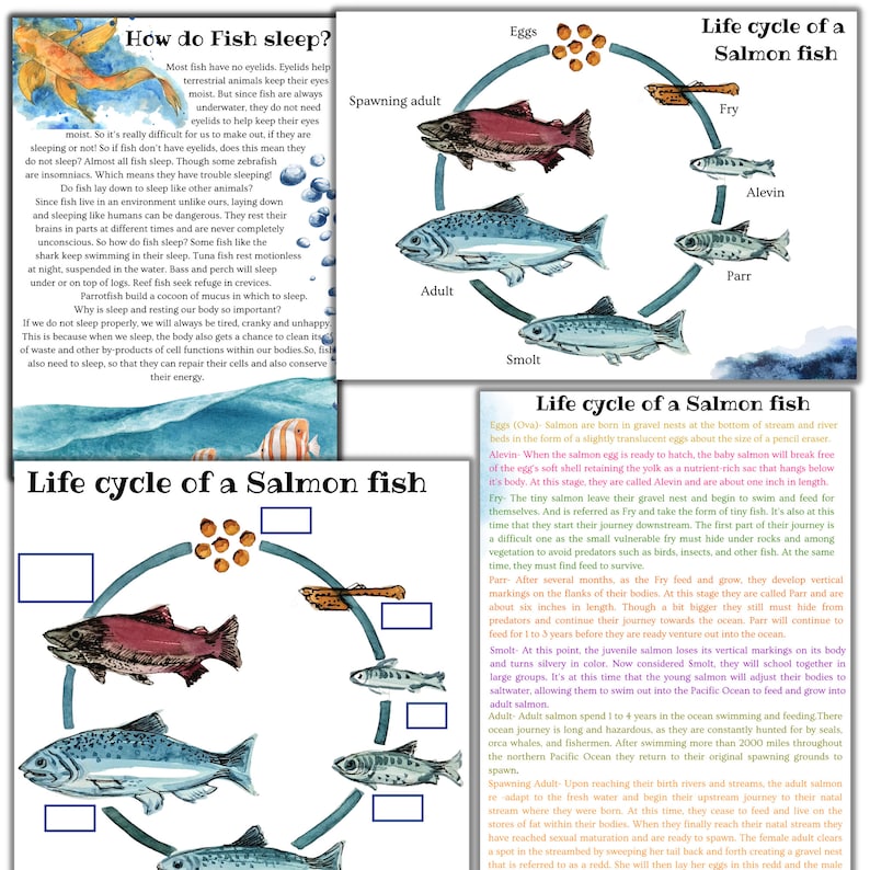Fish Unit Study Fish Printable Puzzle Fish Activities Shark Etsy