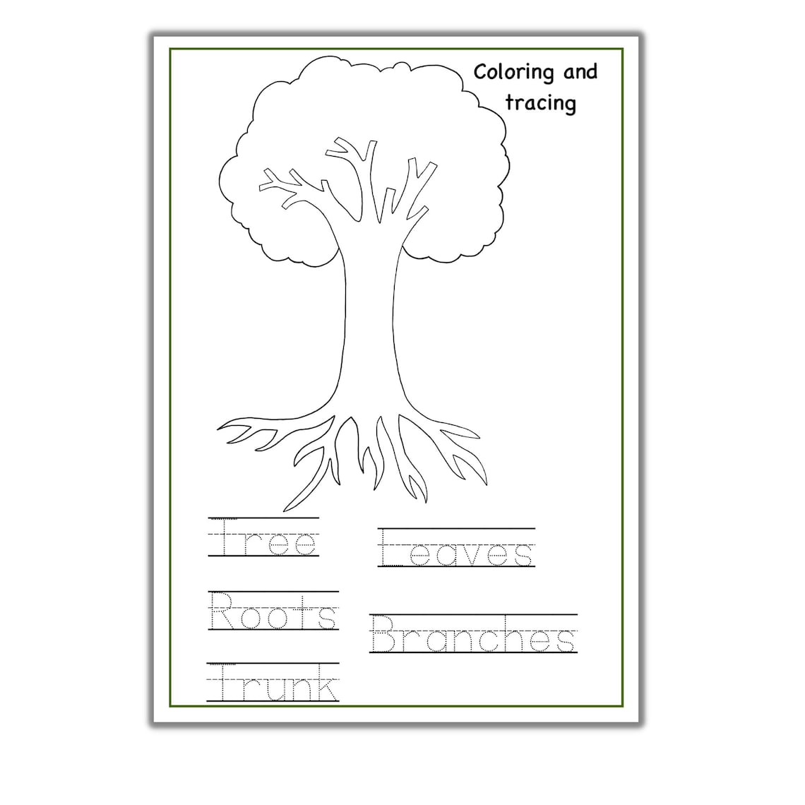 Parts of a Tree Puzzle , Tree Unit Study, Tree Anatomy, 3 Part Cards