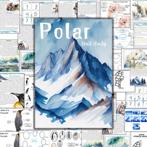 Étude unitaire régions polaires, étude unitaire Arctique, étude unitaire Antarctique, étude unitaire renne, étude unitaire ours polaire, étude unitaire pingouin, iceberg