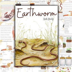 Estudio de la unidad de lombrices de tierra, Estudio de la unidad de descomponedores, Estudio de la naturaleza, Estudio de la naturaleza en casa, Tarjetas Montessori de lombrices de tierra, Anatomía de lombrices de tierra