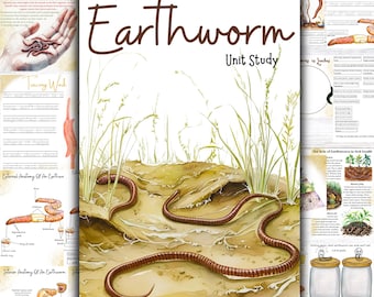 Earthworm unit study, Decomposer unit study, Nature study, Homeschool nature study, Montessori earthworm cards, Earthworm anatomy