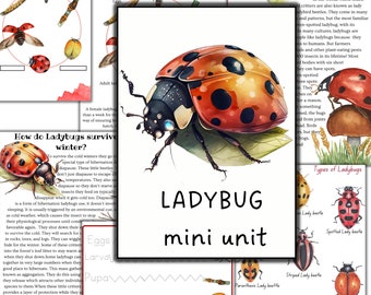 Ladybug unit study, Ladbug printable puzzle, Ladybug 3 part cards, Ladybug printable activities