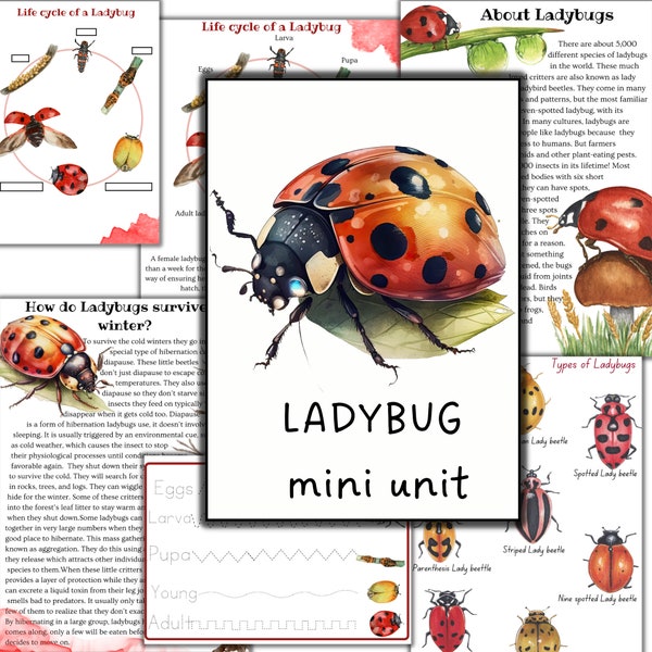 Ladybug unit study, Ladbug printable puzzle, Ladybug 3 part cards, Ladybug printable activities