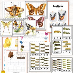 Schmetterlings-Einheitsstudie, Motten-Einheit, Mini-Tier-Einheit, Schmetterlings-Montessori-Puzzle, Luna-Motte, Schmetterlingsaktivitäten, Sommeraktivitäten, Bild 9