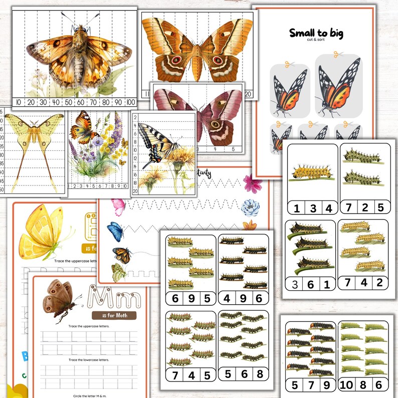 Schmetterlings-Einheitsstudie, Motten-Einheit, Mini-Tier-Einheit, Schmetterlings-Montessori-Puzzle, Luna-Motte, Schmetterlingsaktivitäten, Sommeraktivitäten, Bild 9