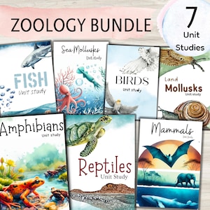 Könnte beinhalten: Ein Zoologie-Bundle mit sieben Lerneinheiten. Die Cover zeigen Aquarellillustrationen von Fischen, Meeresmollusken, Vögeln, Landmollusken, Amphibien, Reptilien und Säugetieren. Der Titel "ZOOLOGY BUNDLE" steht oben.