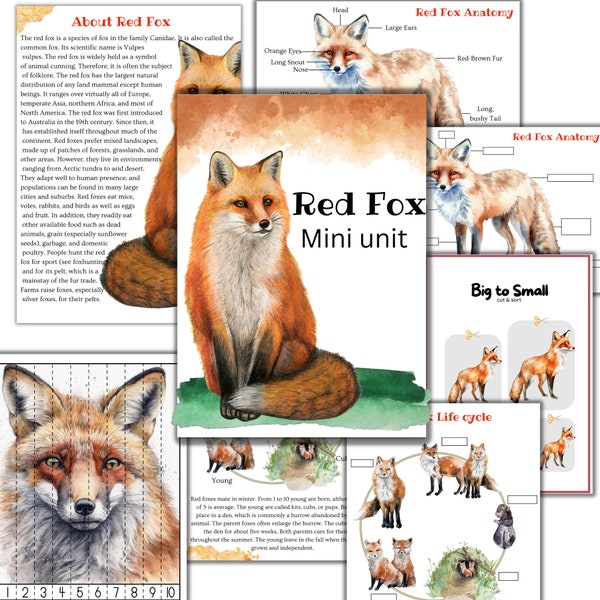 Red Fox mini unit, Red fox anatomy, Red fox life cycle, fall study, nature study