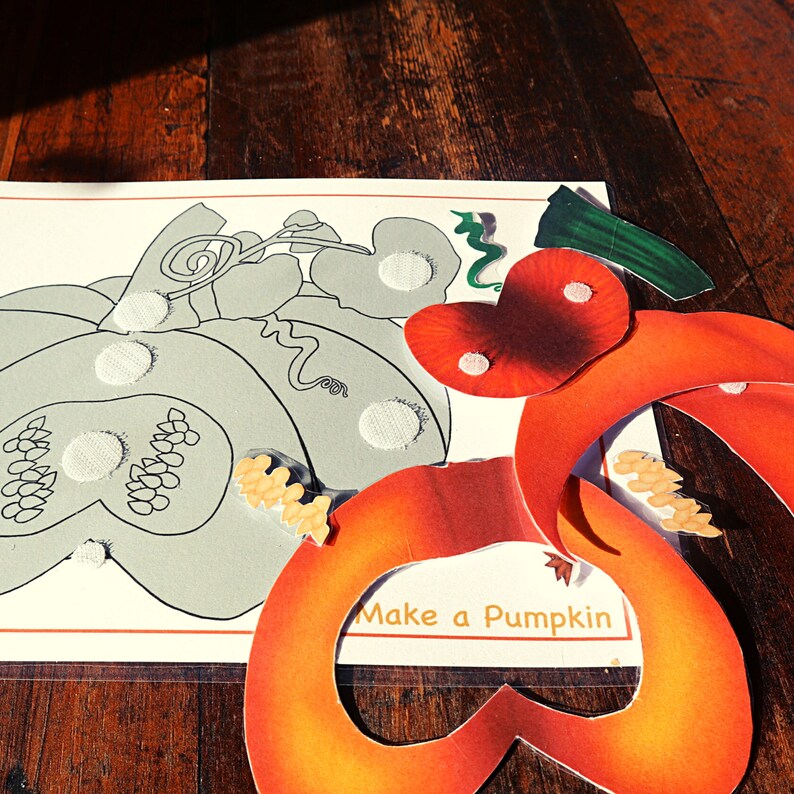 Pumpkin unit study printable, Pumpkin lifecycle, Parts of Pumpkin, Pumpkin 3 part cards, Pumpkin puzzle , Fall activity, Halloween activity image 2