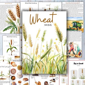 Könnte beinhalten: Eine Aquarellillustration einer Weizen-Lerneinheit. Das Cover zeigt Weizenähren in Grün- und Goldtönen, mit dem Wort "Wheat" in großen braunen Buchstaben. Weitere Seiten zeigen Diagramme und Informationen über Weizen.
