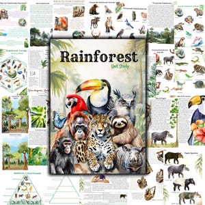 May include: A colorful illustration of rainforest animals, including a toucan, a sloth, a jaguar, an orangutan, and a monkey. The illustration is surrounded by text about the rainforest, including the words "Rainforest Unit Study".
